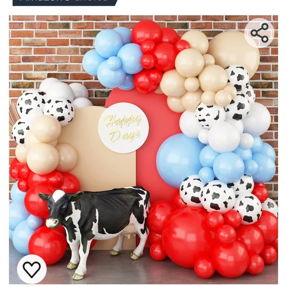 Mickey mouse farm birthday lot - Picture 5 of 15